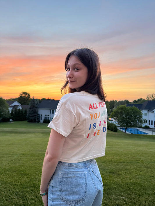 PRIDE CROP TOP