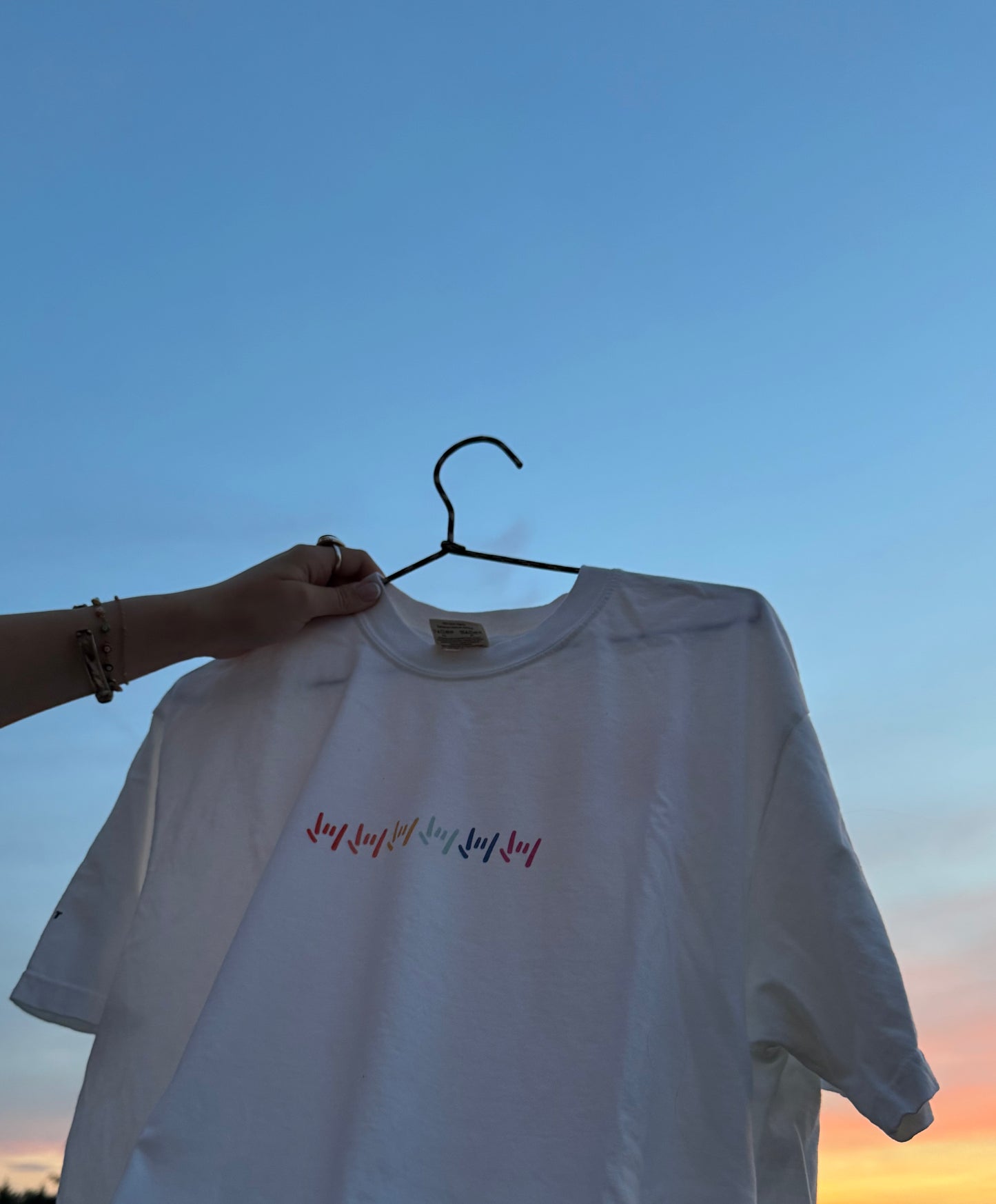 PRIDE T